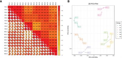 Combined analysis of multi-omics reveals the potential mechanism of flower color and aroma formation in Macadamia integrifolia